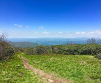 Hiking the Blue Ridge Mountains outside of Asheville NC.
